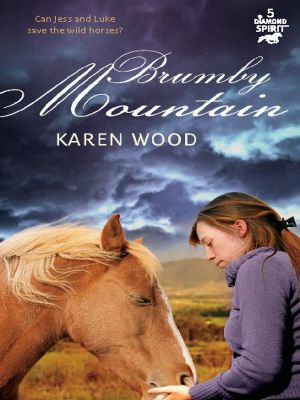 [Diamond Spirit 05] • Brumby Mountain